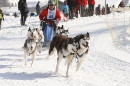 Lenk 2012 SM